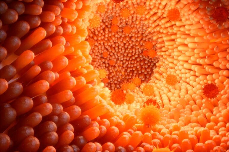 Microbiota