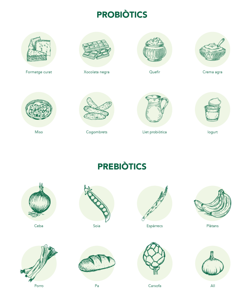  aliments probiòtics i prebiòtics